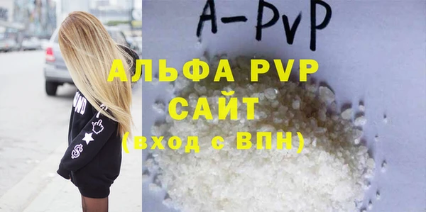 гашик Новозыбков