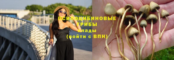меф Новодвинск