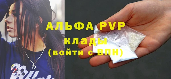 гашик Новозыбков