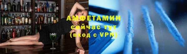 гашик Новозыбков