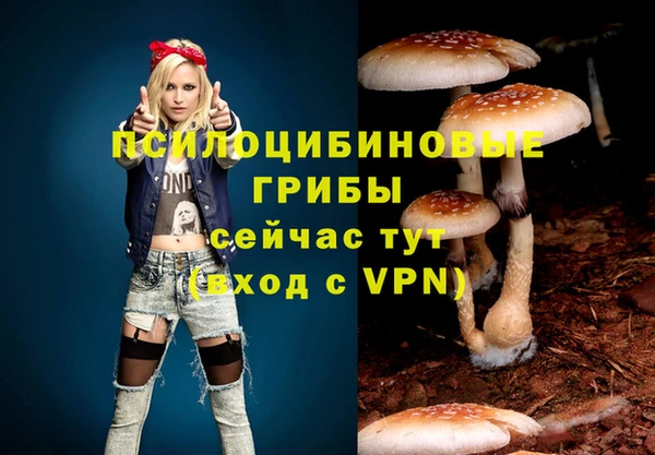 spice Новокубанск