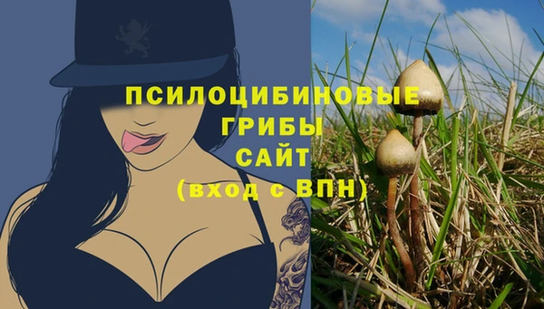 spice Новокубанск