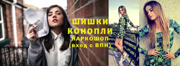 гашик Новозыбков