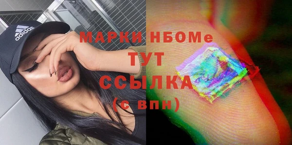 гашик Новозыбков