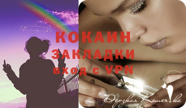гашик Новозыбков