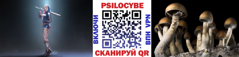 Галлюциногенные грибы Cubensis Среднеуральск